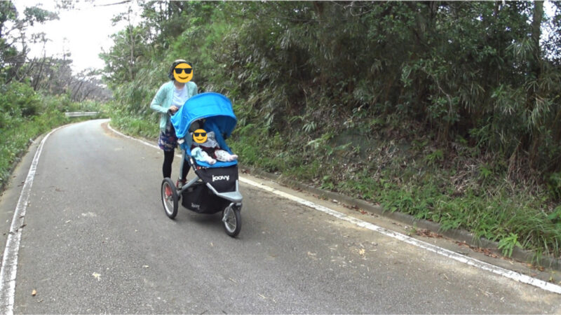 母と娘でベビーカーを押して山道を散歩